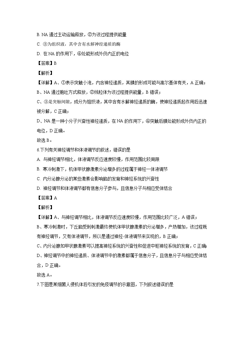 【生物】辽宁省葫芦岛协作校2019-2020学年高二上学期第二次考试试题（解析版）03