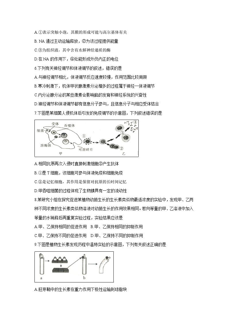 【生物】辽宁省葫芦岛协作校2019-2020学年高二上学期第二次考试第2页