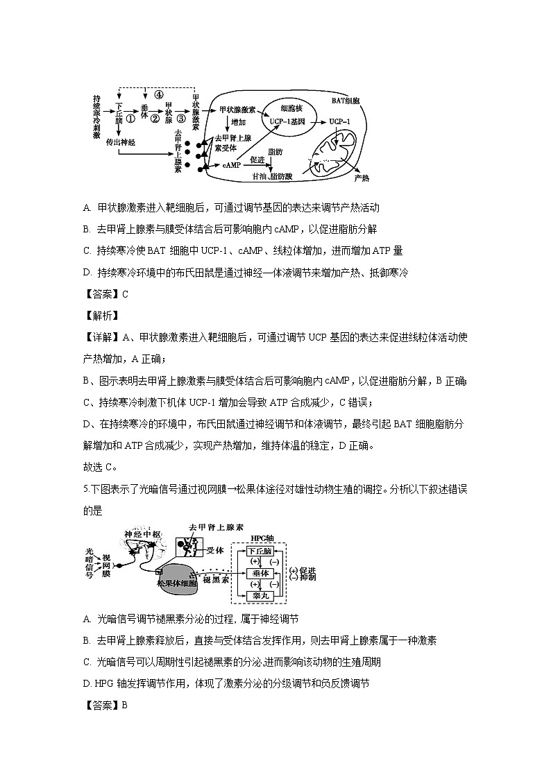 【生物】山东省潍坊市寿光现代中学2019-2020学年高二12月月考试题（解析版）03