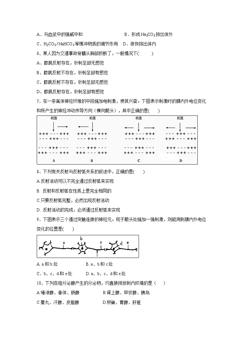 【生物】山西省太原市第五十三中学校2019-2020学年高二上学期10月月考试卷第2页