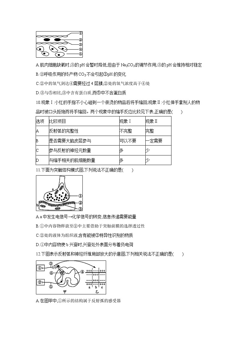【生物】山西省应县第一中学校（又：朔州外国语学校）2019-2020学年高二上学期第四次月考试题第3页