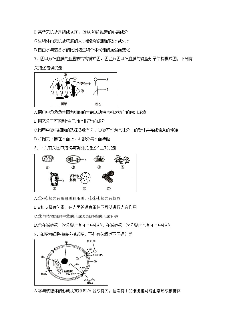 【生物】陕西省汉中市龙岗学校2019-2020学年高二上学期第二次月考试题第2页
