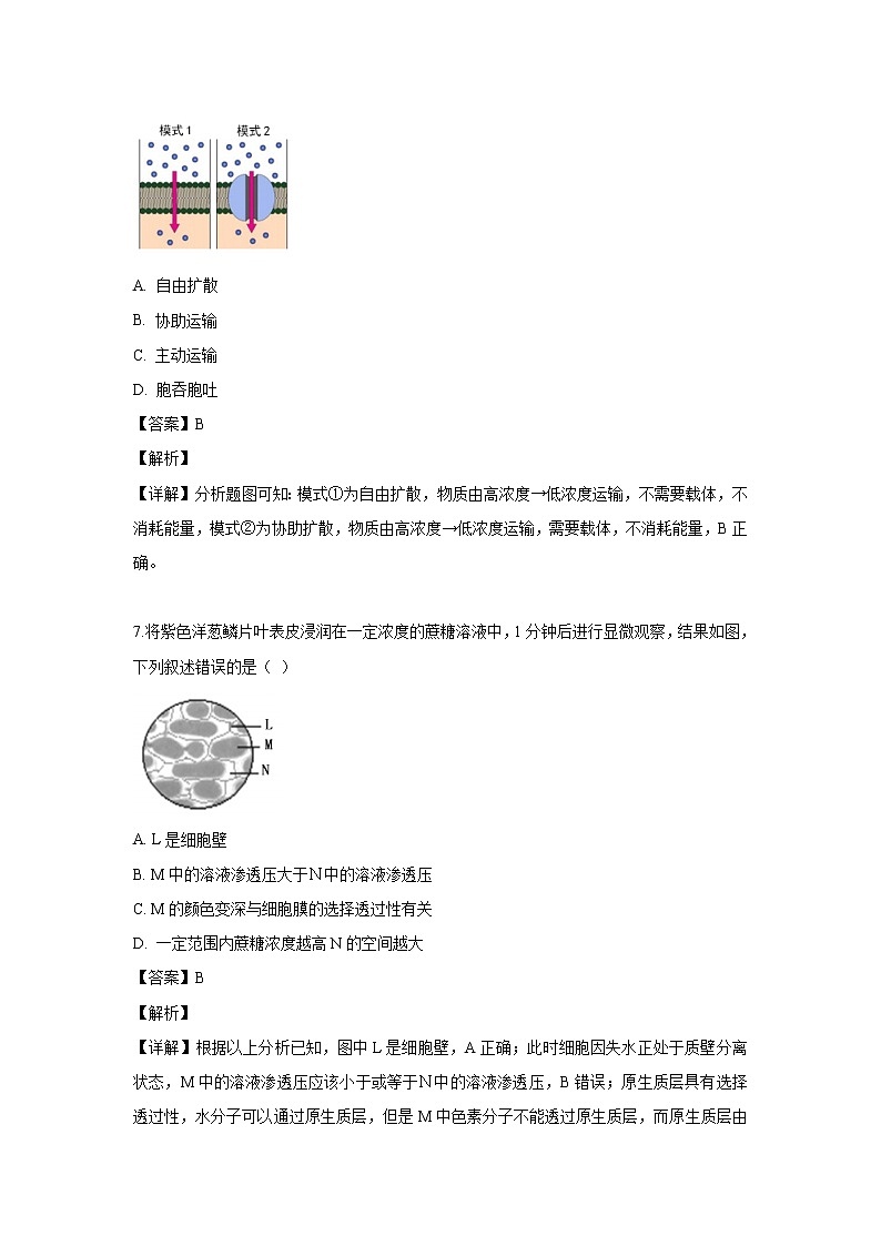 【生物】上海市虹口区鲁迅中学2019-2020学年高二上学期第一次等级考试题（解析版）第3页