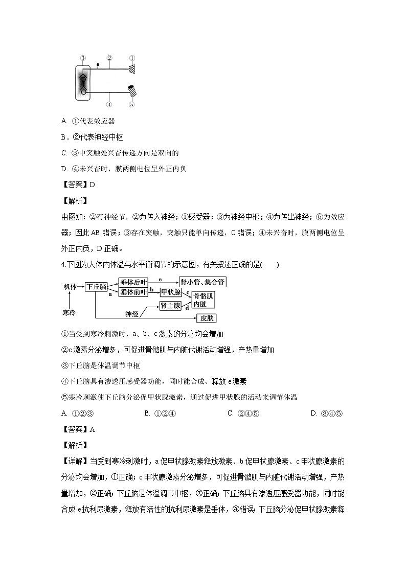 【生物】四川省成都市双流区棠湖中学2019-2020学年高二上学期试题（解析版）02