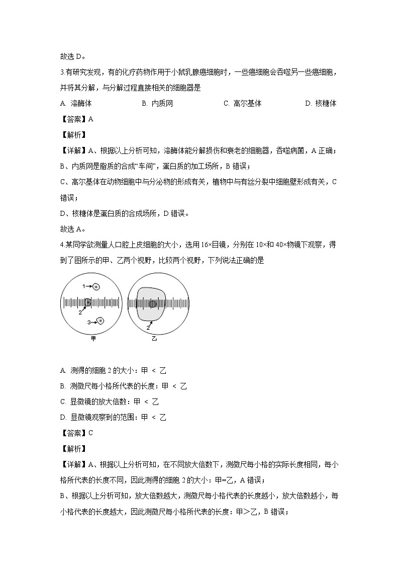 【生物】上海市静安区2019-2020学年高二上学期教学质量检测（等级考）试题（解析版）第2页