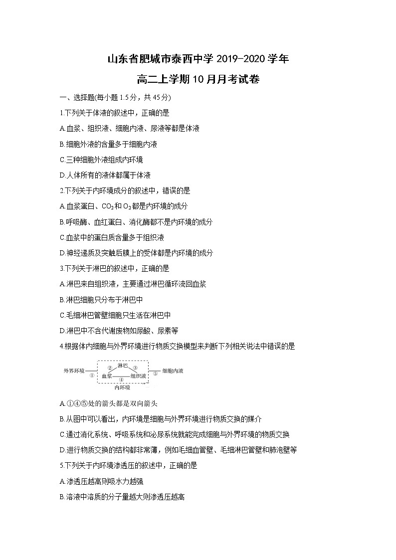 【生物】山东省肥城市泰西中学2019-2020学年高二上学期10月月考试卷（解析版）01