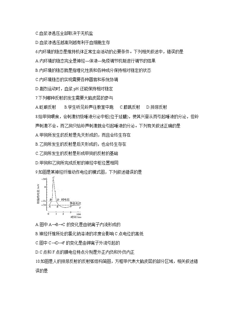 【生物】山东省肥城市泰西中学2019-2020学年高二上学期10月月考试卷（解析版）02