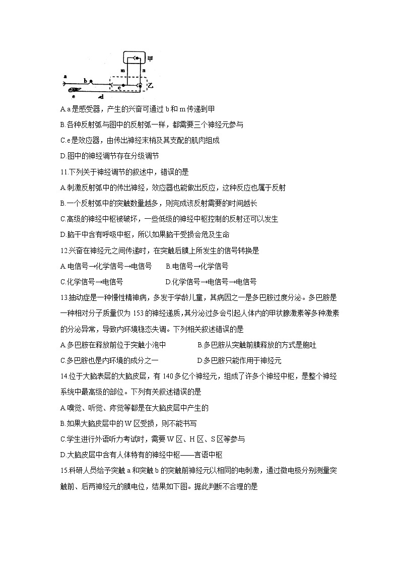 【生物】山东省肥城市泰西中学2019-2020学年高二上学期10月月考试卷（解析版）03