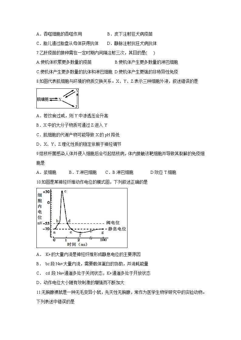 【生物】山东省济宁市鱼台县第一中学2019-2020学年高二10月月考试题02