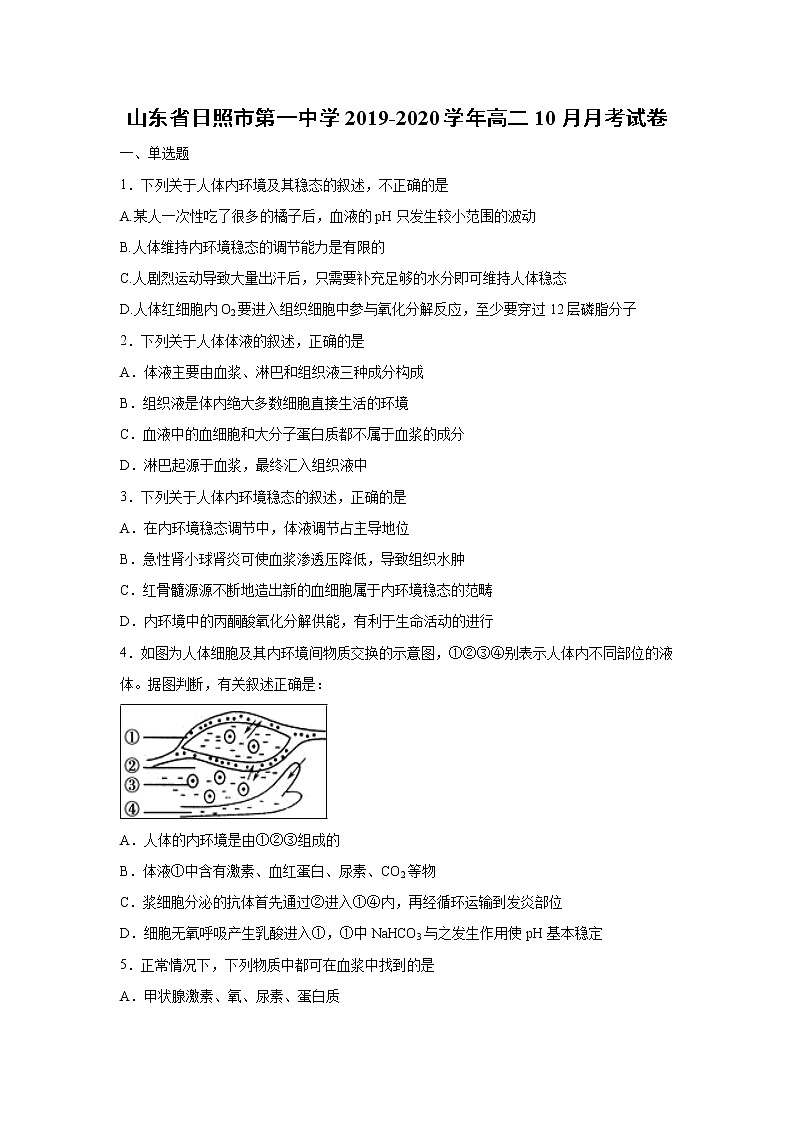 【生物】山东省日照市第一中学2019-2020学年高二10月月考试卷第1页
