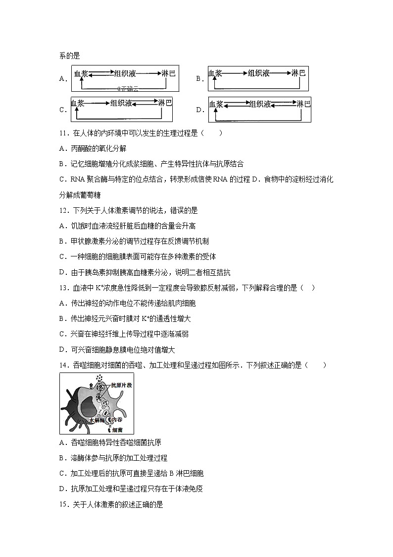 【生物】山东省日照市第一中学2019-2020学年高二10月月考试卷第3页