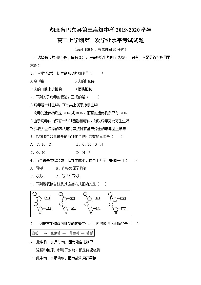 【生物】湖北省巴东县第三高级中学2019-2020学年高二上学期第一次学业水平考试试题01