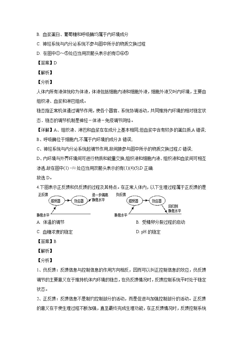 【生物】湖北省孝感高级中学2019-2020学年高二（9月）调研试题（解析版）02