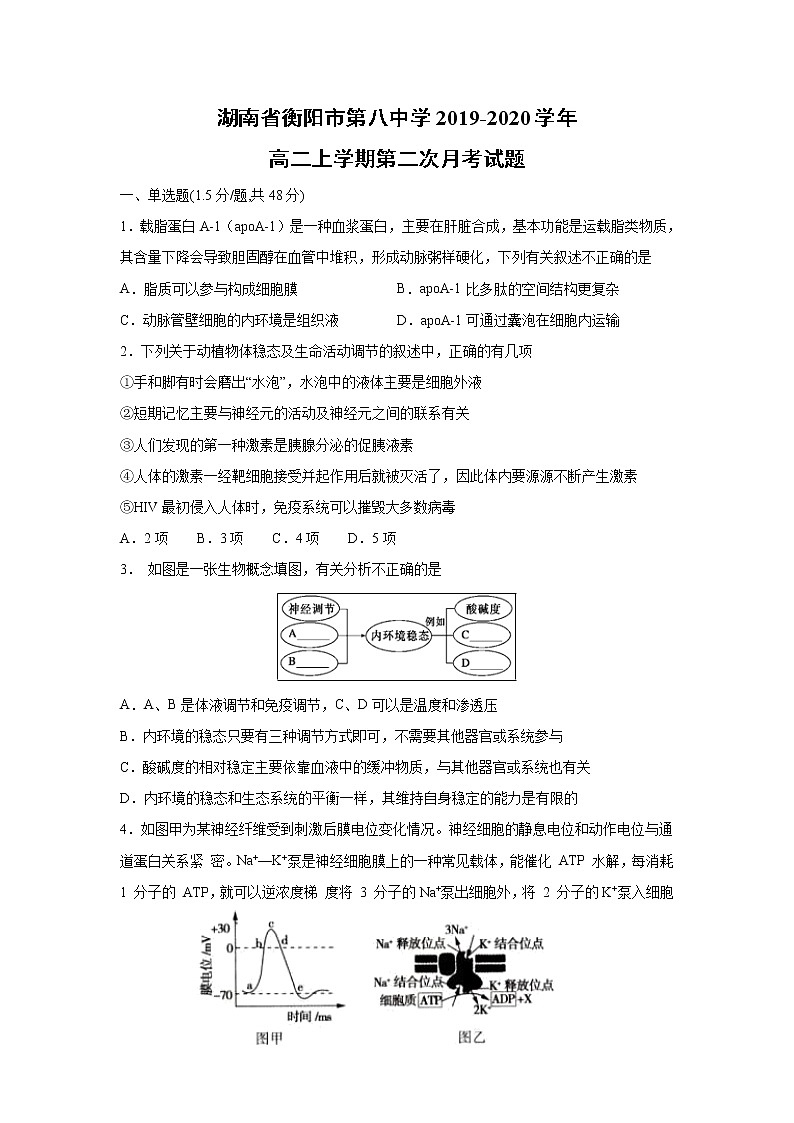 【生物】湖南省衡阳市第八中学2019-2020学年高二上学期第二次月考试题01