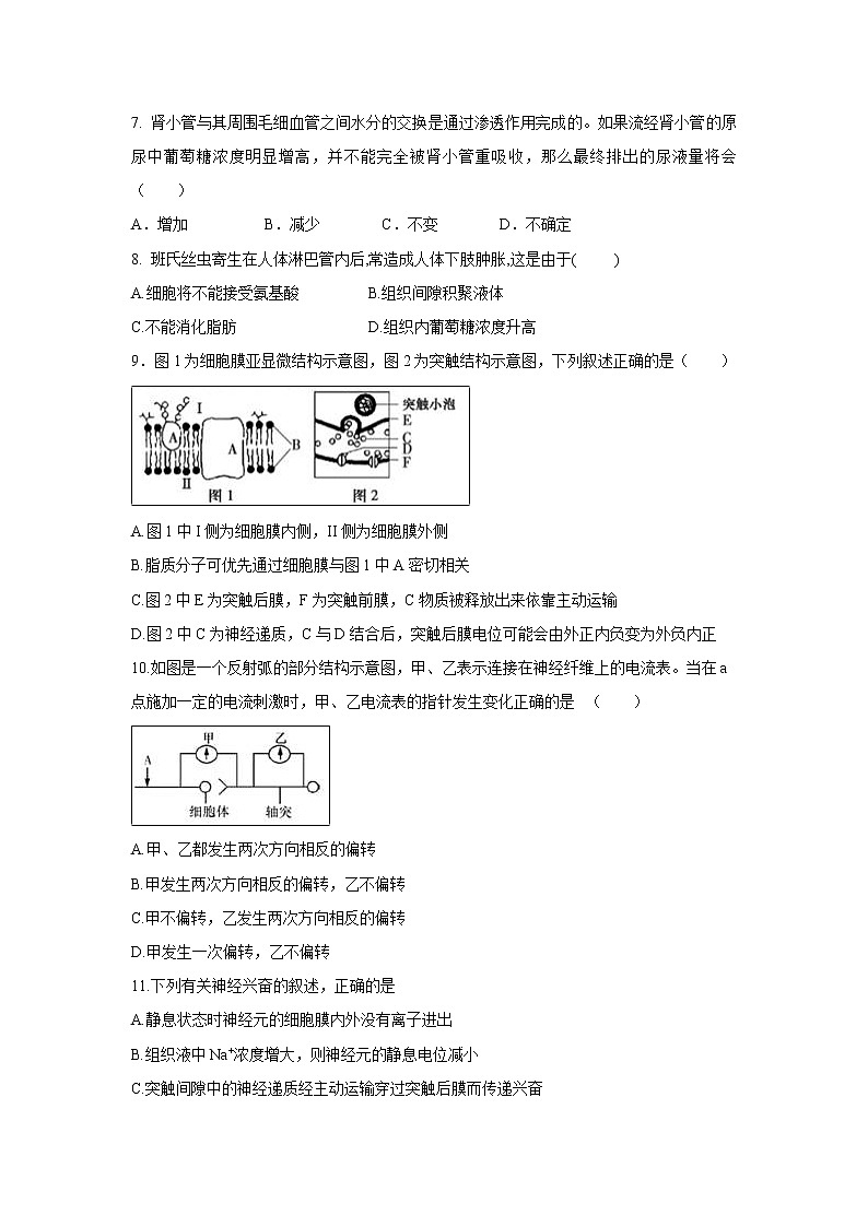 【生物】黑龙江省哈尔滨市第六中学2019-2020学年高二10月份阶段性总结试题02