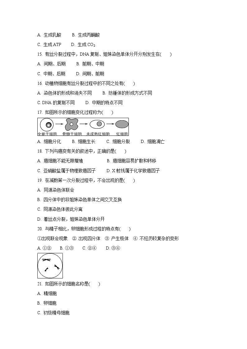 【生物】江苏省连云港市2019-2020学年高二学业水平合格性考试模拟试卷（12月）03