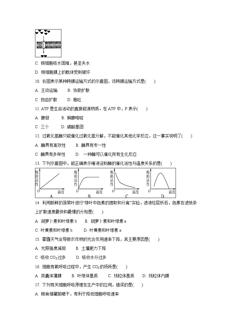 【生物】江苏省南京市2019-2020学年高二学业水平合格性考试模拟试卷（12月）02