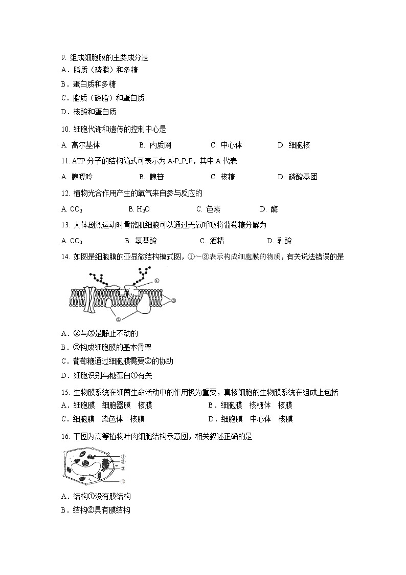 【生物】江苏省苏州新草桥中学2019-2020学年高二上学期合格考模拟考试试题02