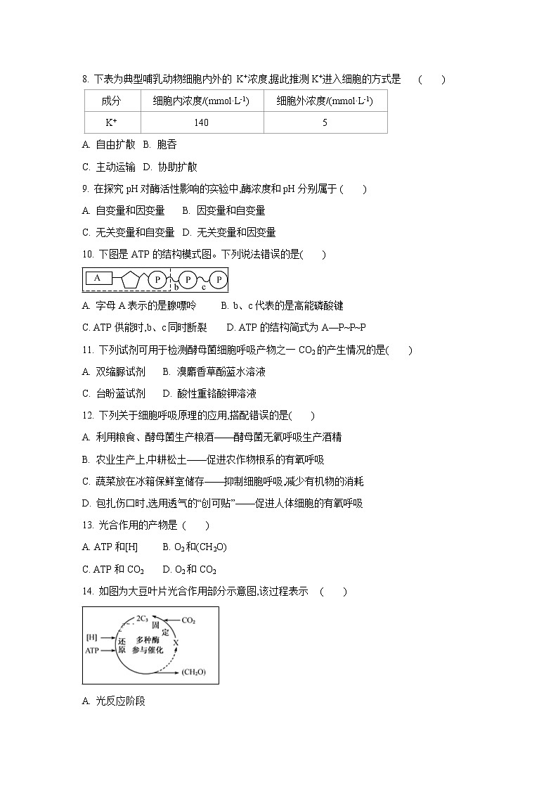 【生物】江苏省苏州第一中学2019-2020学年高二上学期测试试题(解析版)02