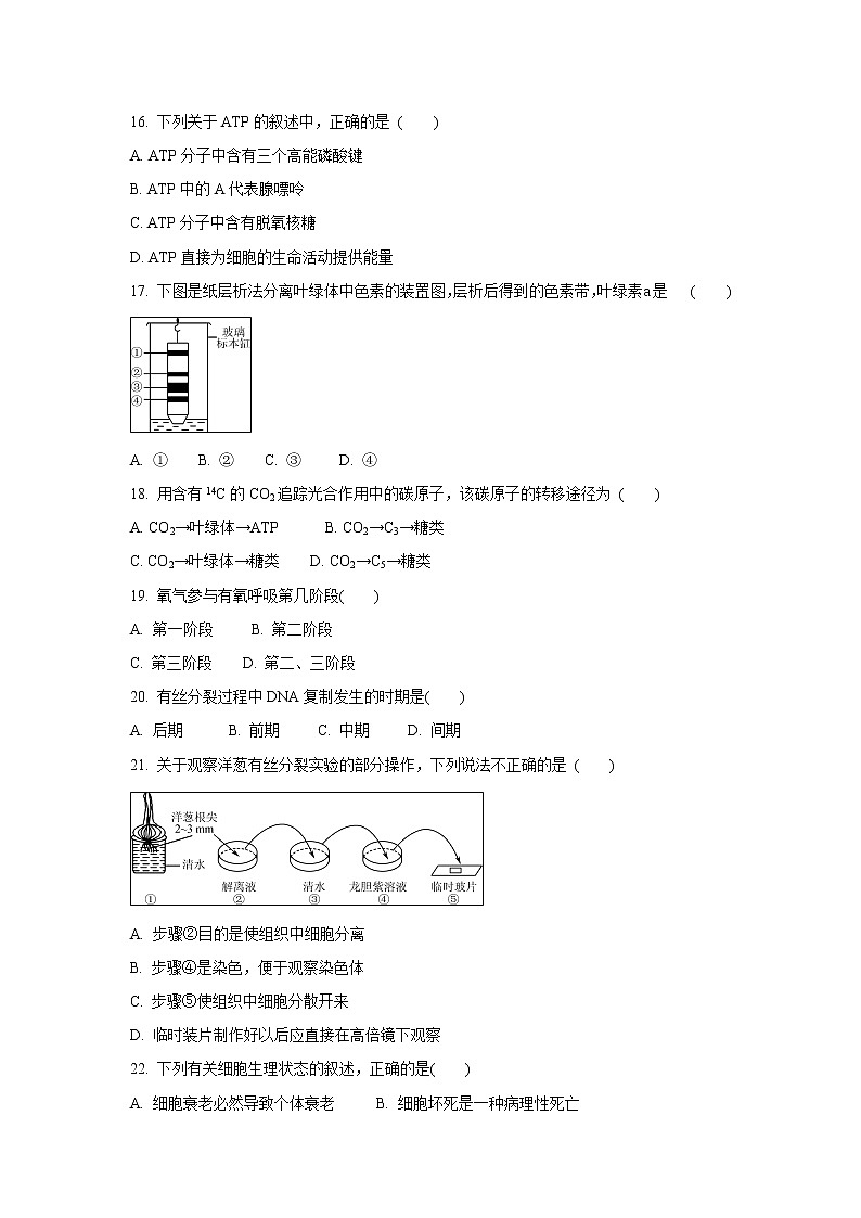 【生物】江苏省扬州市2019-2020学年高二学业水平合格性考试模拟试卷（12月）03