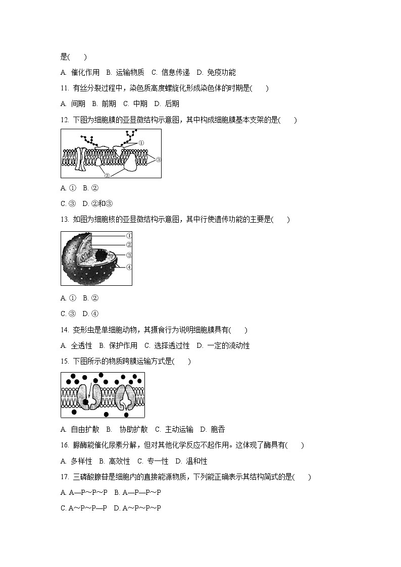 【生物】江苏省无锡市2019-2020学年高二学业水平合格性考试模拟试卷（12月）第2页