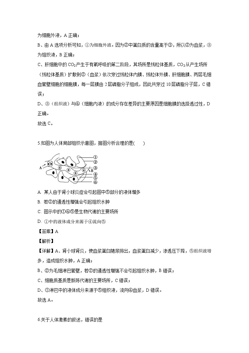 【生物】吉林省白山市抚松六中2019-2020学年高二上学期第一次月考试题（解析版）03