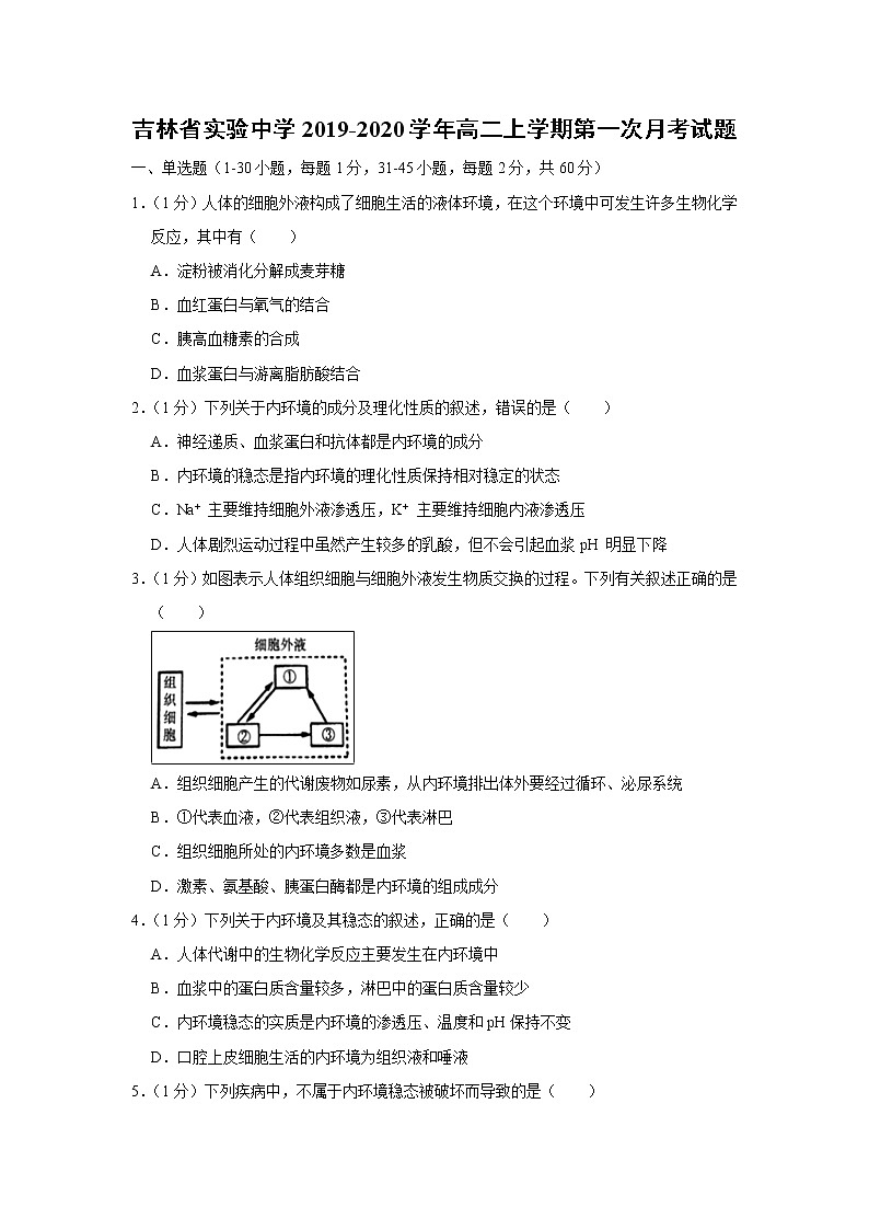 【生物】吉林省实验中学2019-2020学年高二上学期第一次月考试题（解析版）01