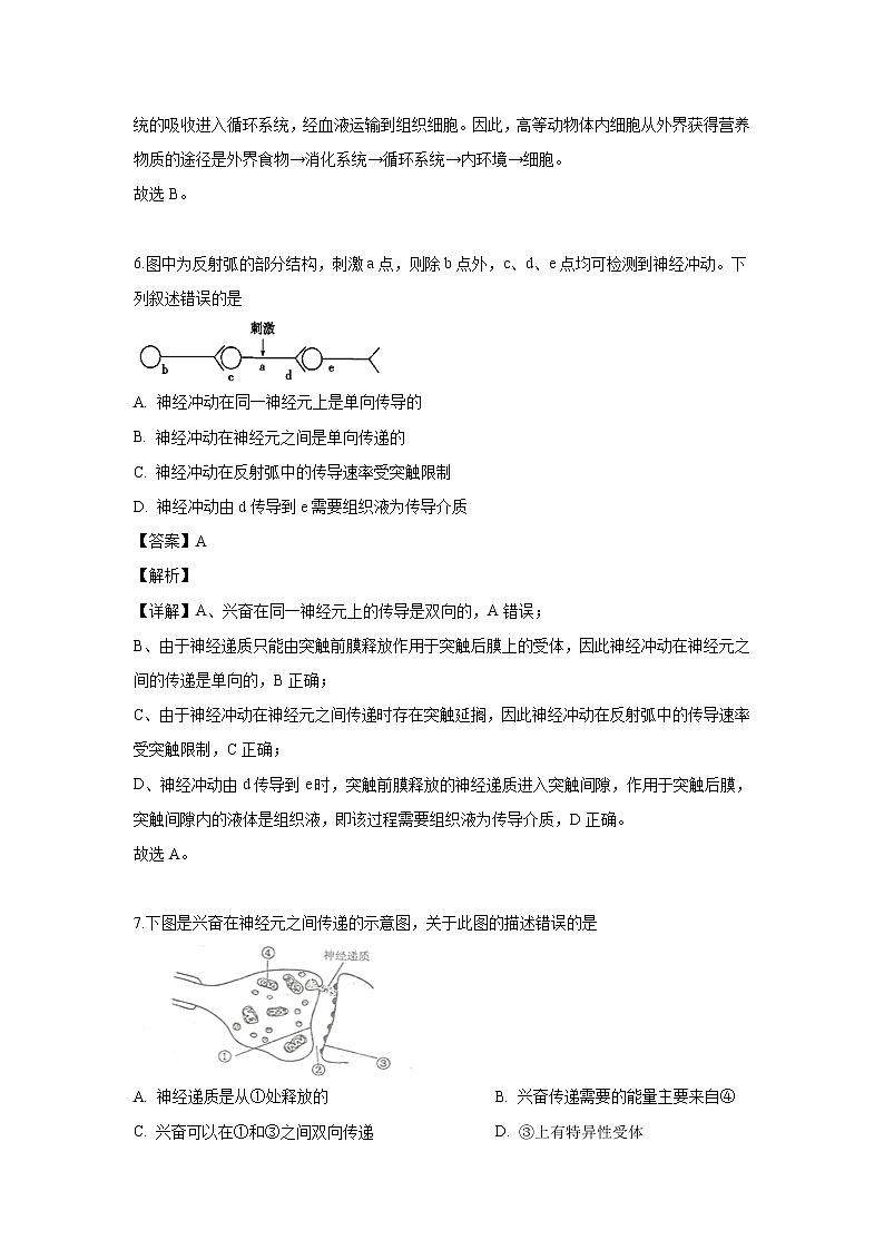 【生物】吉林省长春市外国语学校2019-2020学年高二上学期第一次月考试题（解析版）03