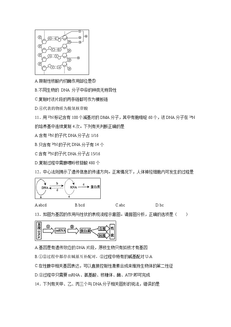 【生物】安徽省青阳县第一中学2019-2020学年高二11月月考试题03