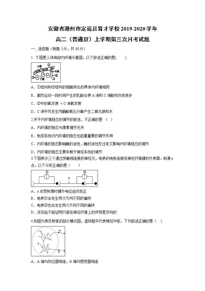 【生物】安徽省滁州市定远县育才学校2019-2020学年高二（普通班）上学期第三次月考试题01