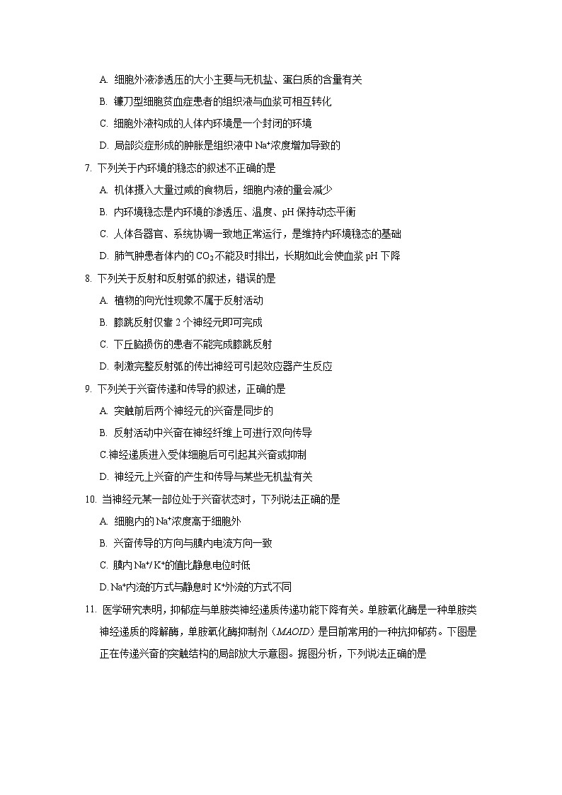 【生物】广西南宁市第三中学2019-2020学年高二10月月考试题02