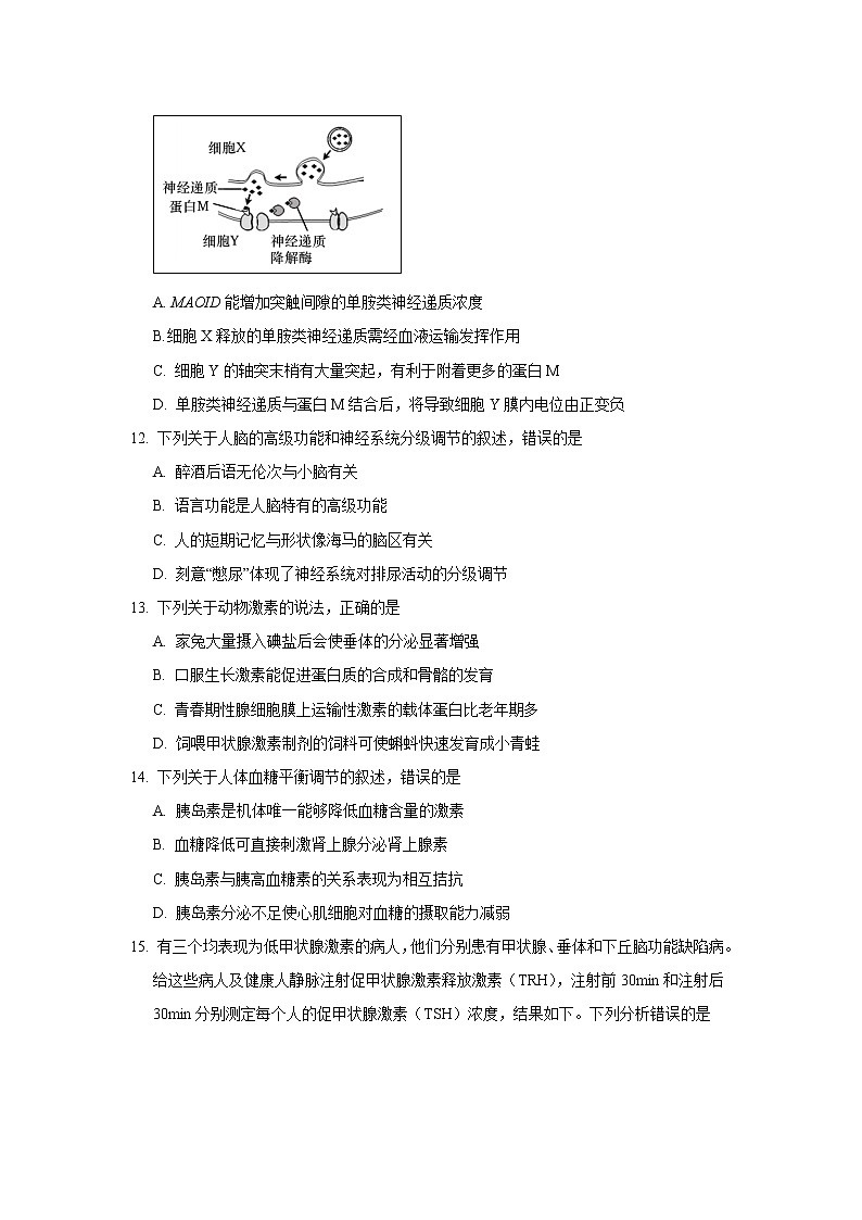 【生物】广西南宁市第三中学2019-2020学年高二10月月考试题03