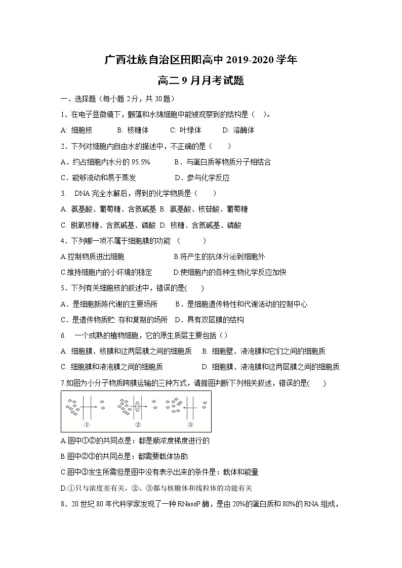 【生物】广西壮族自治区田阳高中2019-2020学年高二9月月考试题第1页
