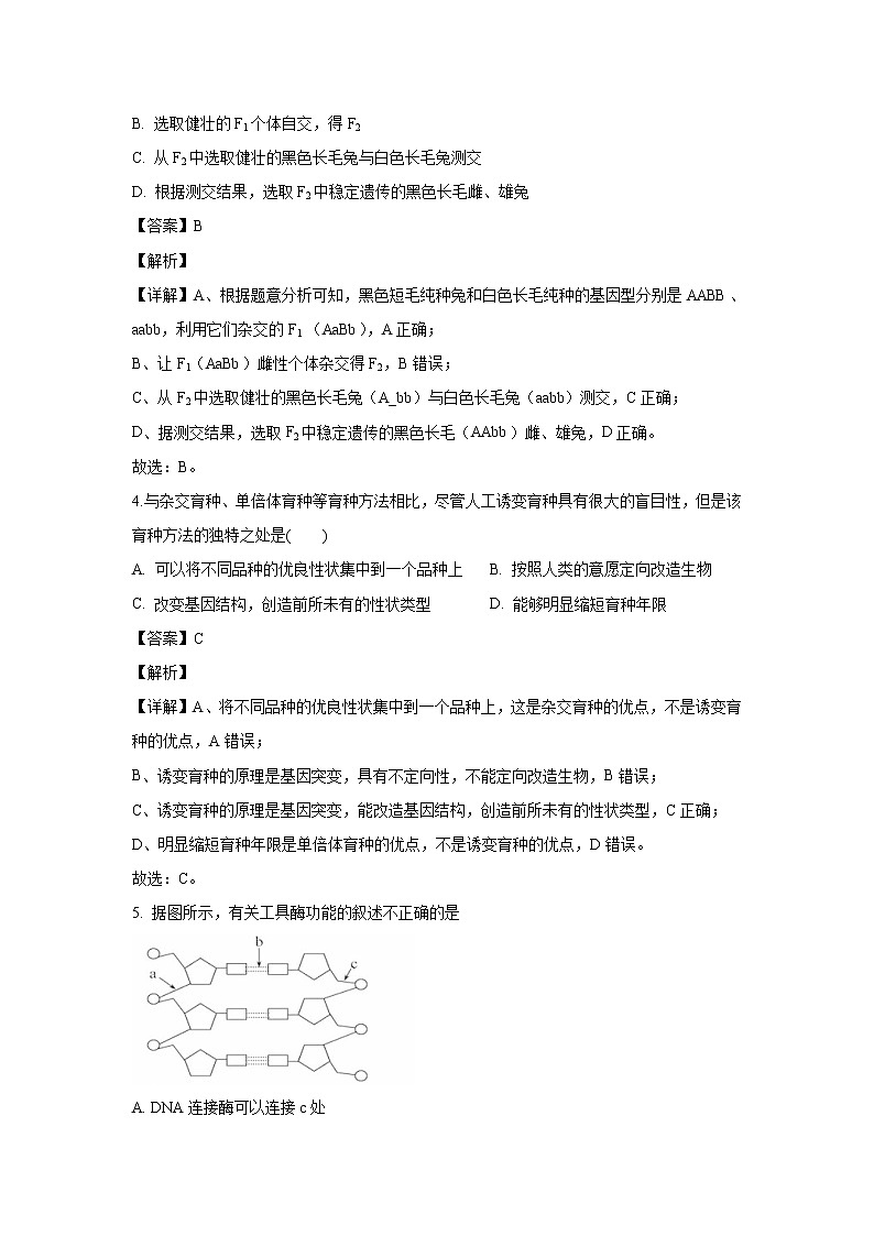 【生物】广东省揭阳市三中2019-2020学年高二上学期第一次月考生物试题（解析版）02