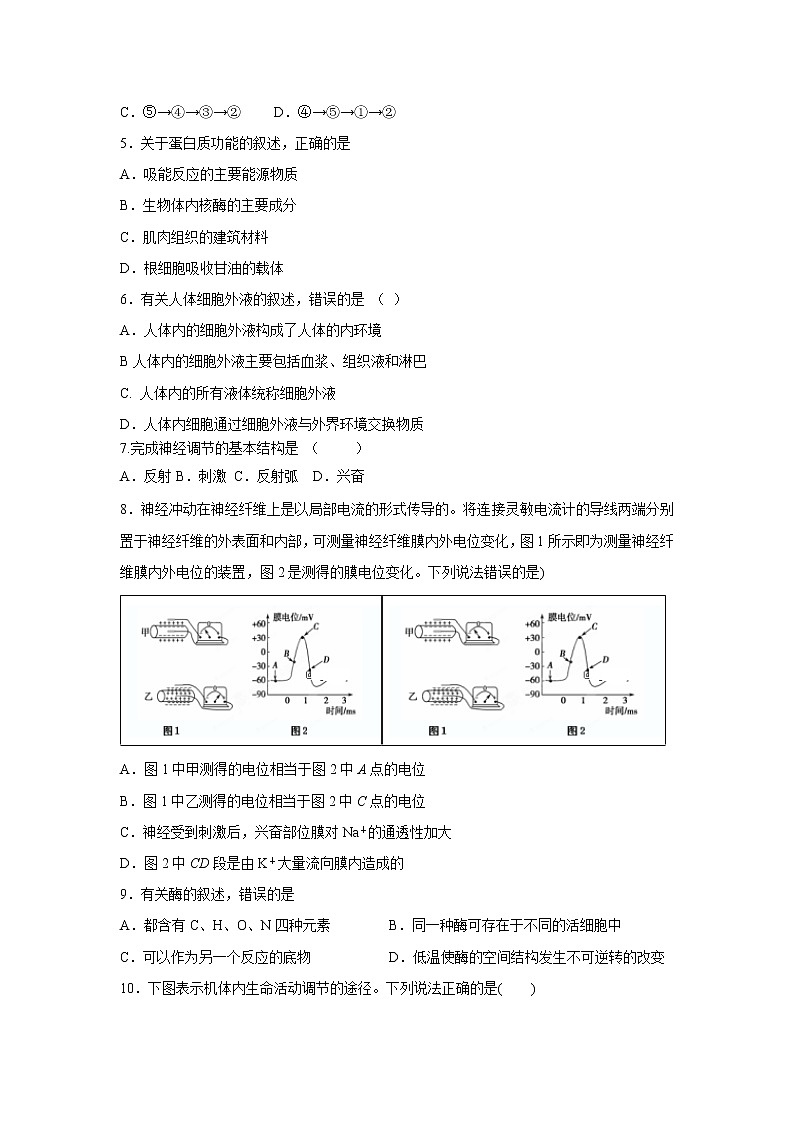 【生物】河北省武邑中学2019-2020学年高二上学期第一次月考试题02