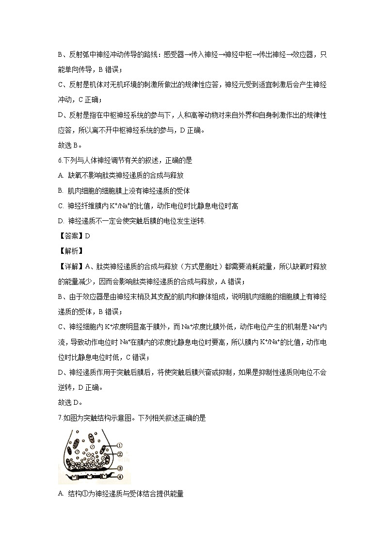 【生物】河北省张家口市2019-2020学年高二11月阶段测试试题（解析版）03