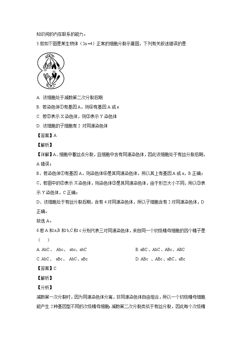 【生物】河南省洛阳市瀍河回族区一中2019-2020学年高二上学期（9月）月考试题（解析版）第3页