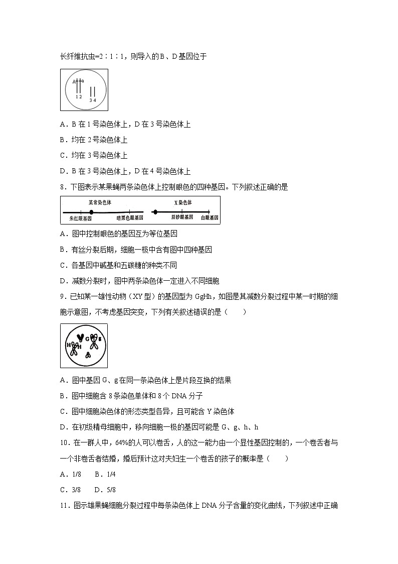 【生物】河北省邯郸市大名县第一中学2019-2020学年高二上学期第一次月考（重点班）试卷（解析版）03