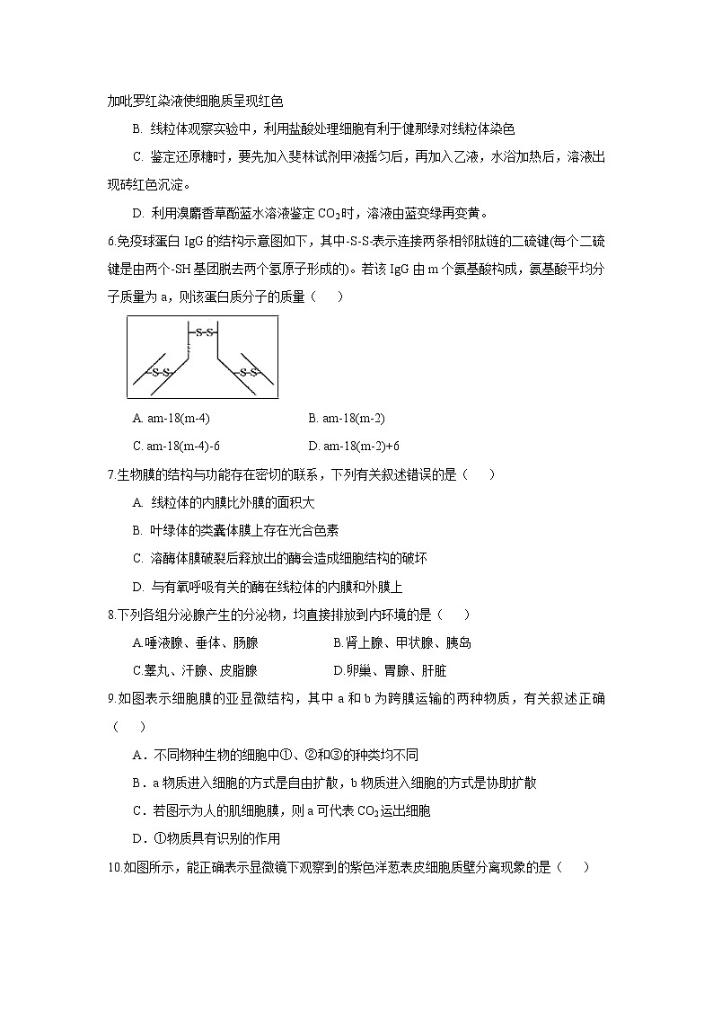 【生物】山西省永济中学2019-2020学年高二上学期开学考试试题第2页