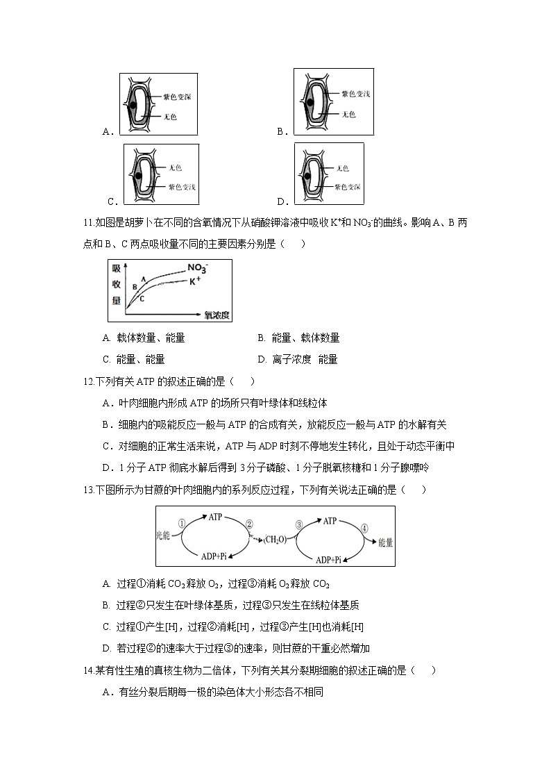 【生物】山西省永济中学2019-2020学年高二上学期开学考试试题第3页
