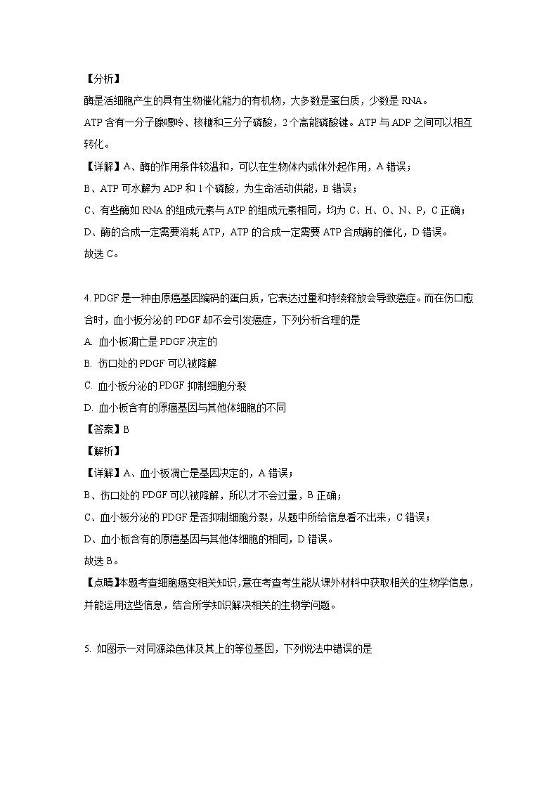 【生物】四川省成都市双流区棠湖中学2019-2020学年高二上学期开学考试试题（解析版）03