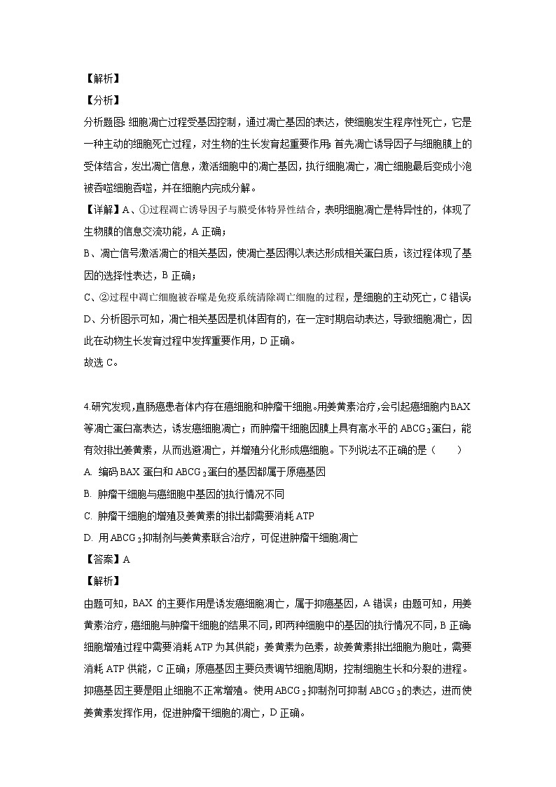 【生物】四川省眉山市彭山区一中2019-2020学年高二上学期开学考试试题（解析版）03