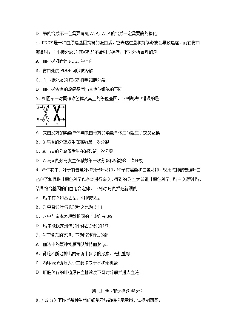 【生物】四川省棠湖中学2019-2020学年高二上学期开学考试试题02