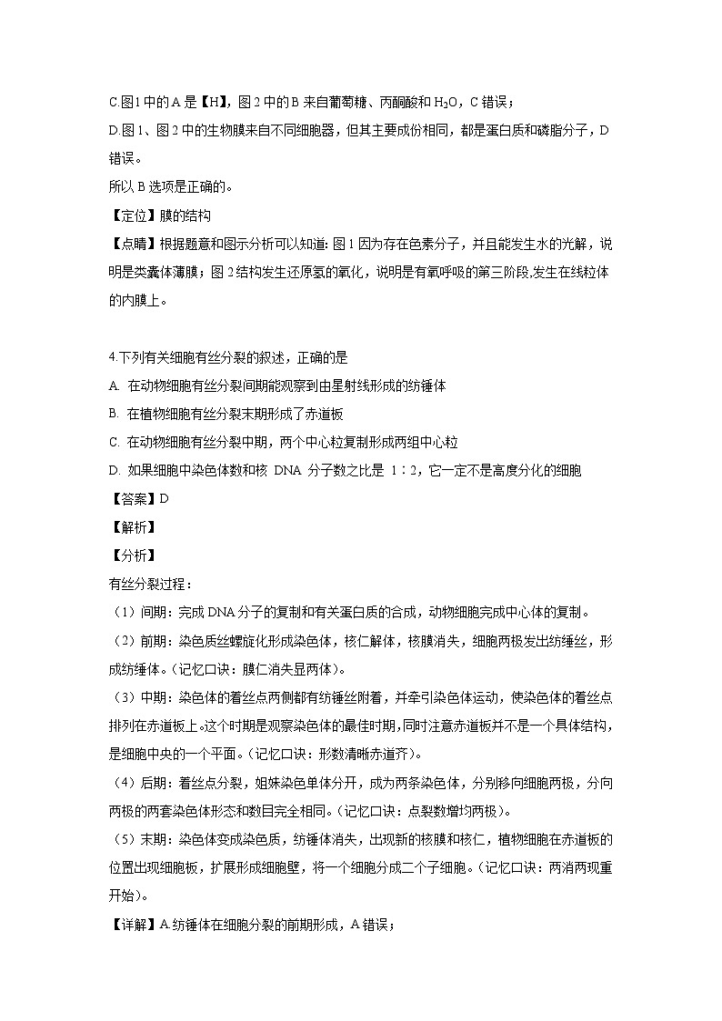 【生物】重庆市万州二中2019-2020学年高二上学期入学考试试题（解析版）第3页