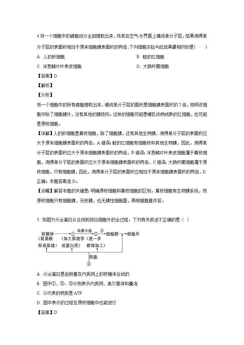 【生物】安徽省合肥市瑶海区十一中2019-2020学年高二上学期入学考试试题（解析版）03