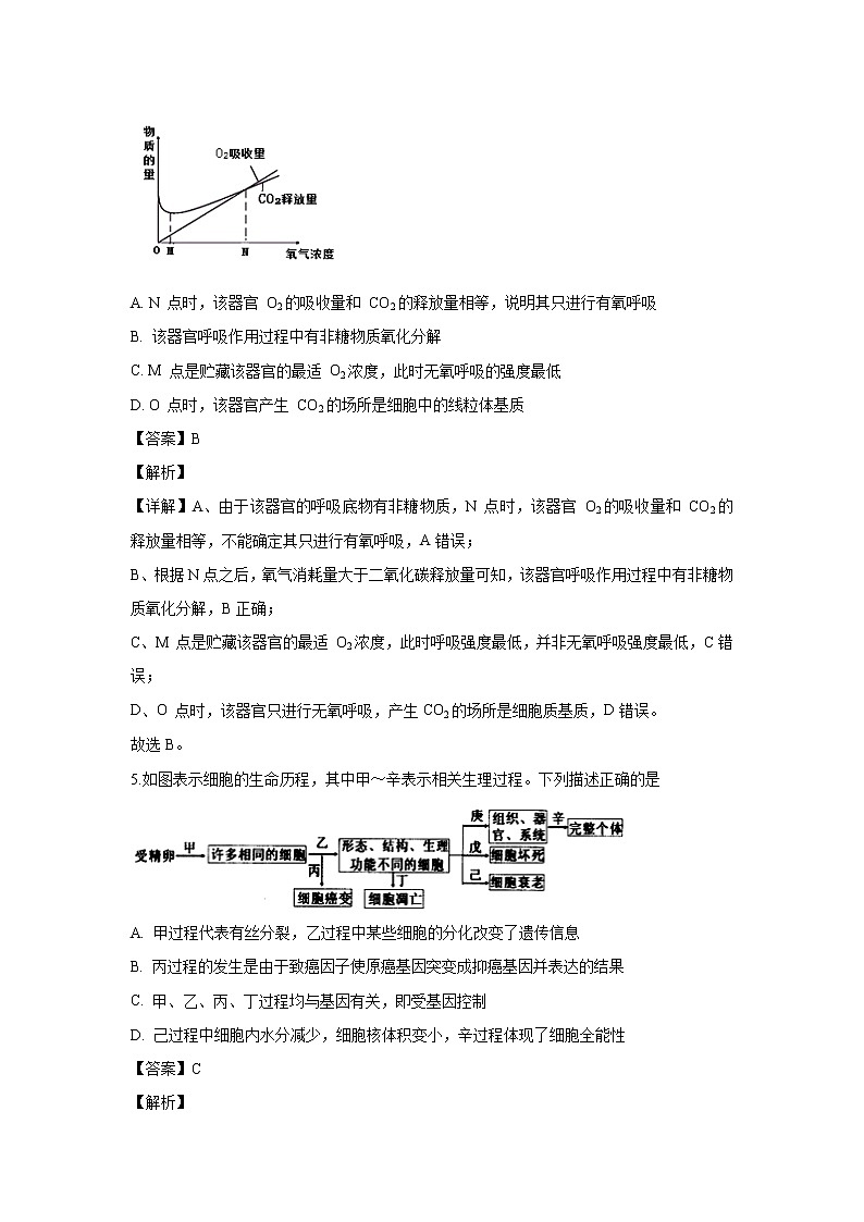 【生物】贵州省凯里市一中2019-2020学年高二上学期开学考试理综试题（解析版） (1)03
