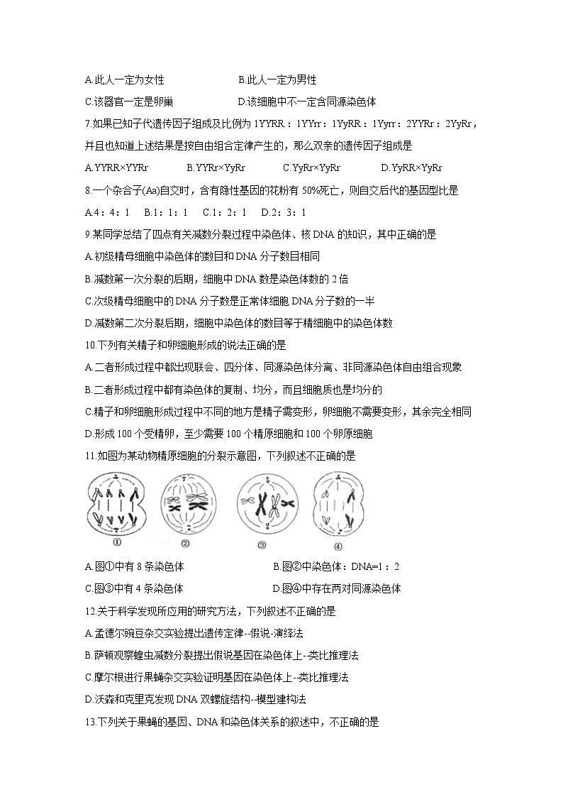 【生物】黑龙江省哈尔滨师范大学青冈实验中学校2019-2020学年高二上学期开学考试（8月）试题第2页