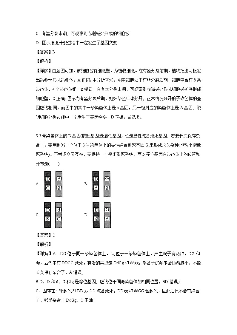 【生物】河南省林州市一中2019-2020学年高二上学期入学考试试题（解析版）03