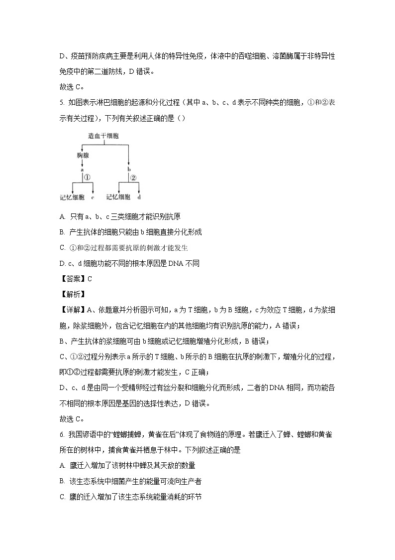 【生物】广西桂林市兴安县三中2019-2020学年高二下学期开学适应性检测试题（解析版）03
