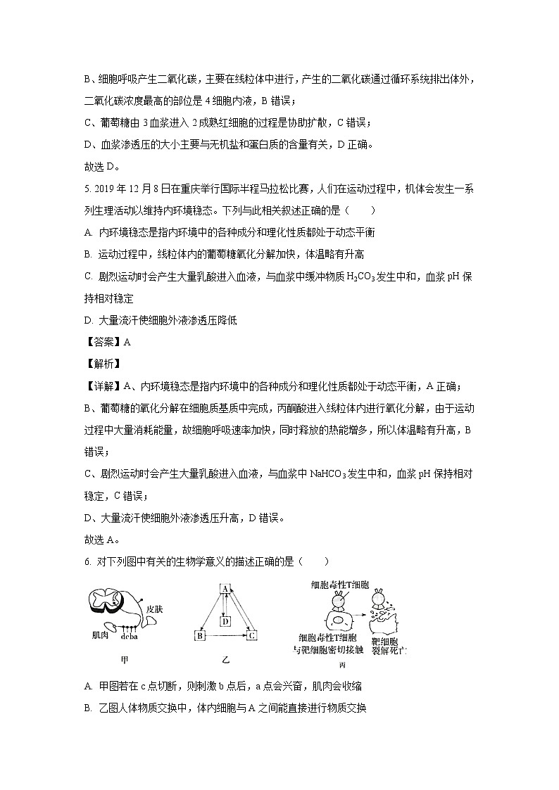 【生物】（新高考地区新教材）2020-2021学年高二上学期第一次月考备考金卷试题(解析版)03